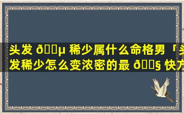 头发 🌵 稀少属什么命格男「头发稀少怎么变浓密的最 🐧 快方法」